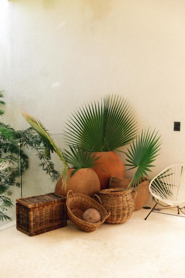 16Tulum Otel Dış mekan fotoğraf
